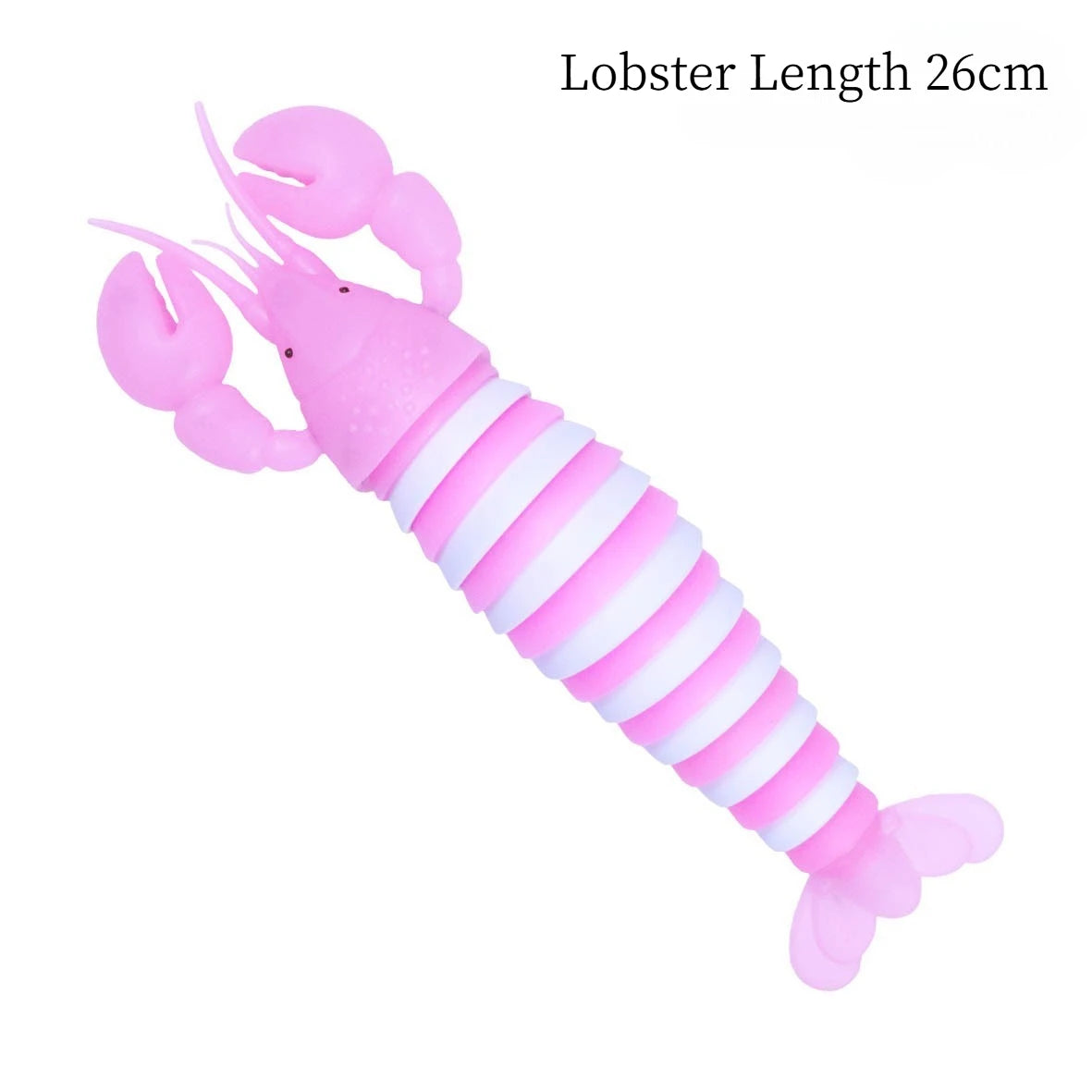 3D Slug Fidget Toy Colorful Slug Snail Creative Twist Anti Stress Toy All Ages Relief Anti-Anxiety Sensory Toys for Children