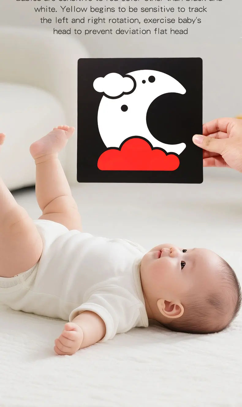 Montessori Baby High Contrast Visual Stimulation Flash Cards 0-36M