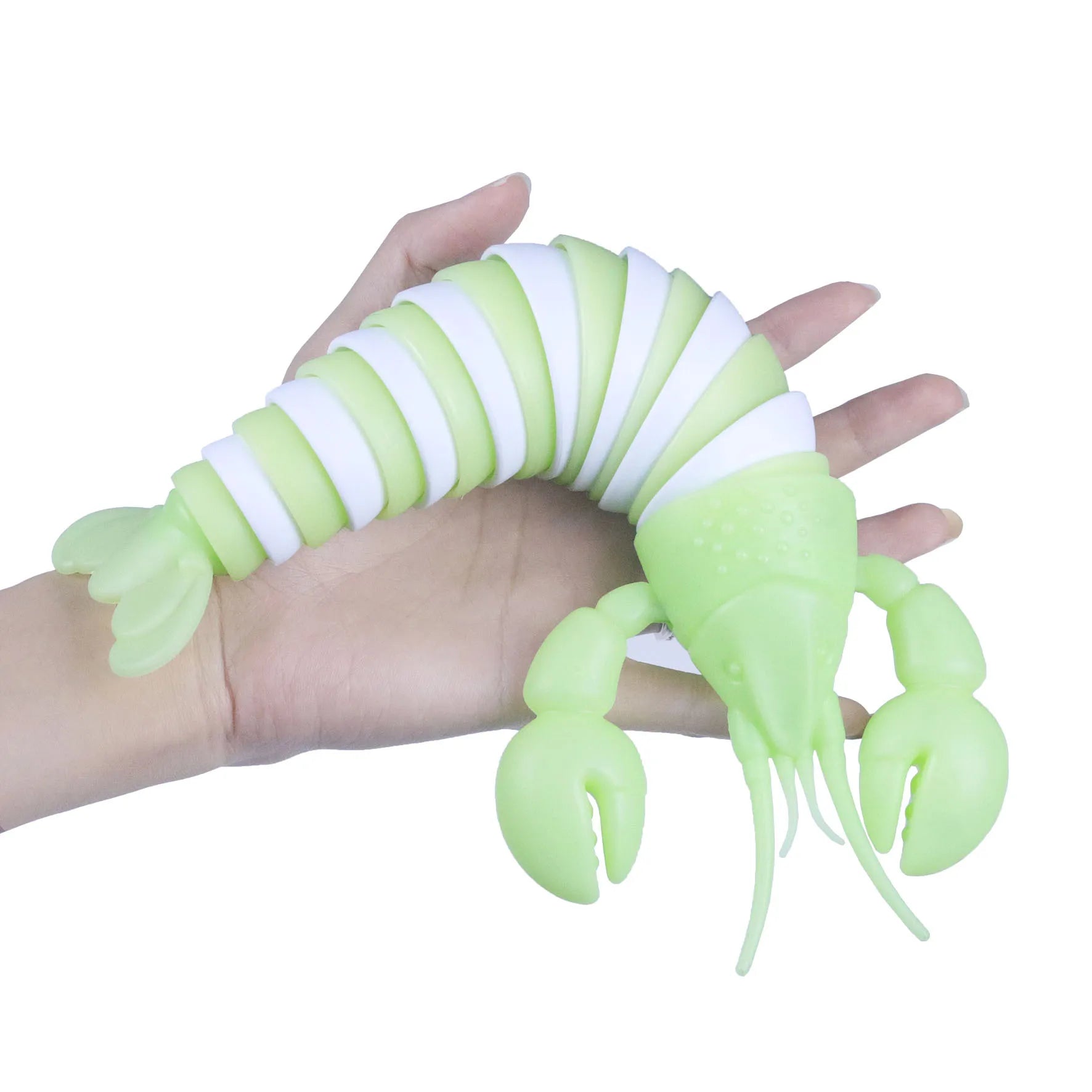 3D Slug Fidget Toy Colorful Slug Snail Creative Twist Anti Stress Toy All Ages Relief Anti-Anxiety Sensory Toys for Children