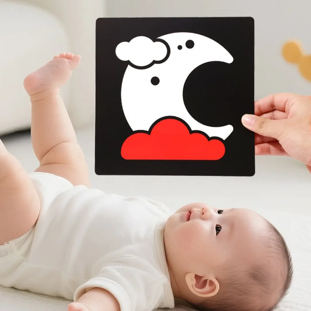Montessori Baby High Contrast Visual Stimulation Flash Cards 0-36M