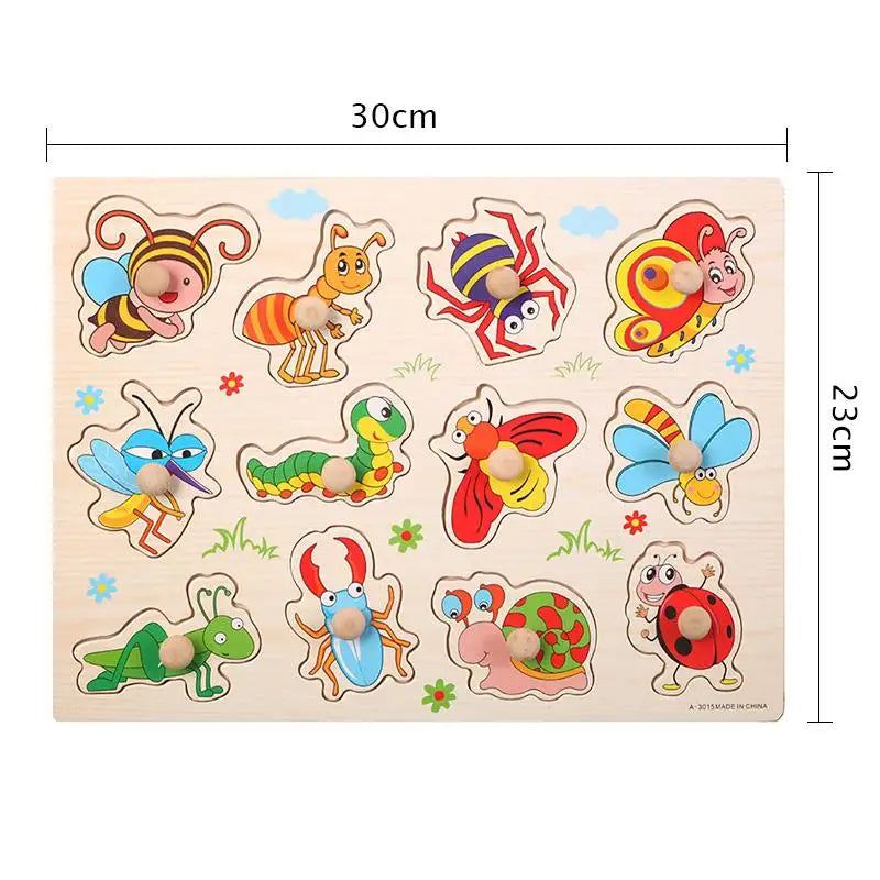 Wooden Mushroom Nail Hand Grab Puzzle - Educational Toy
