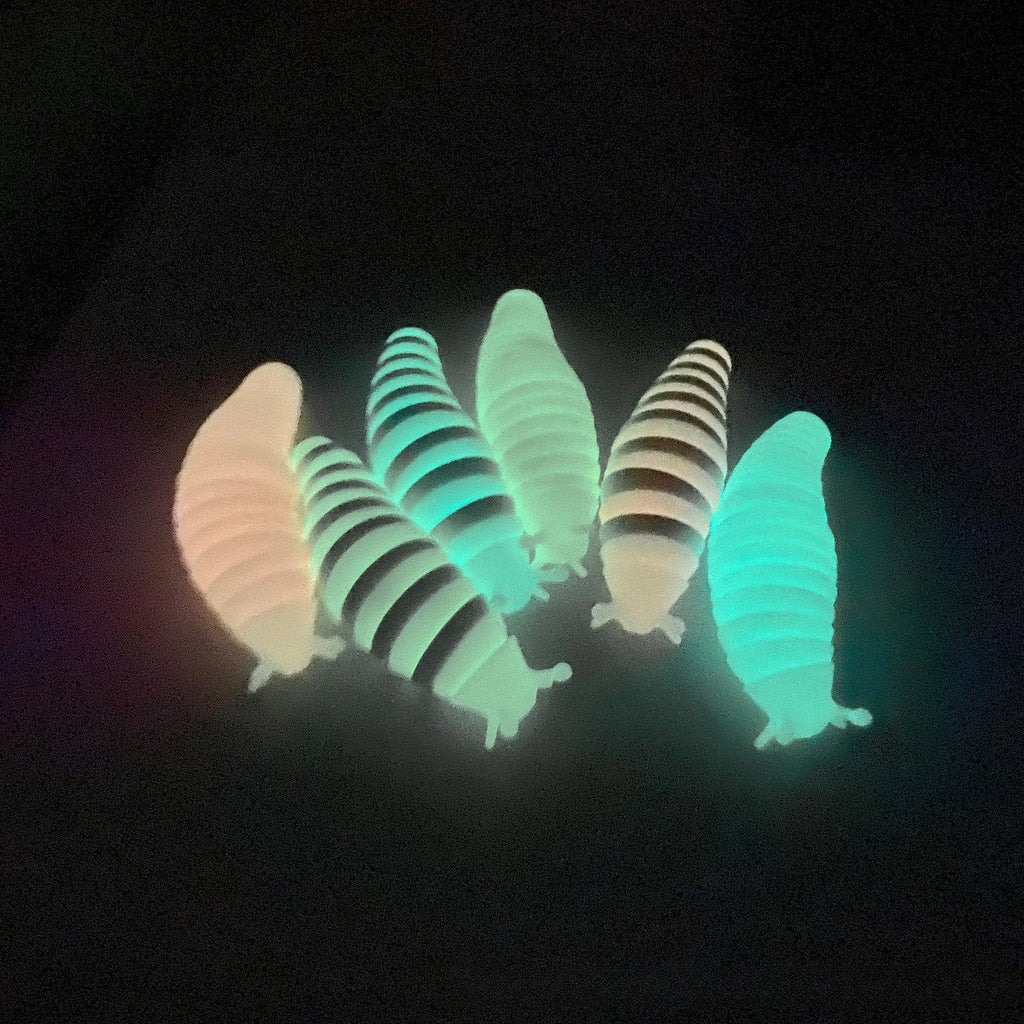 3D Slug Fidget Toy Colorful Slug Snail Creative Twist Anti Stress Toy All Ages Relief Anti-Anxiety Sensory Toys for Children