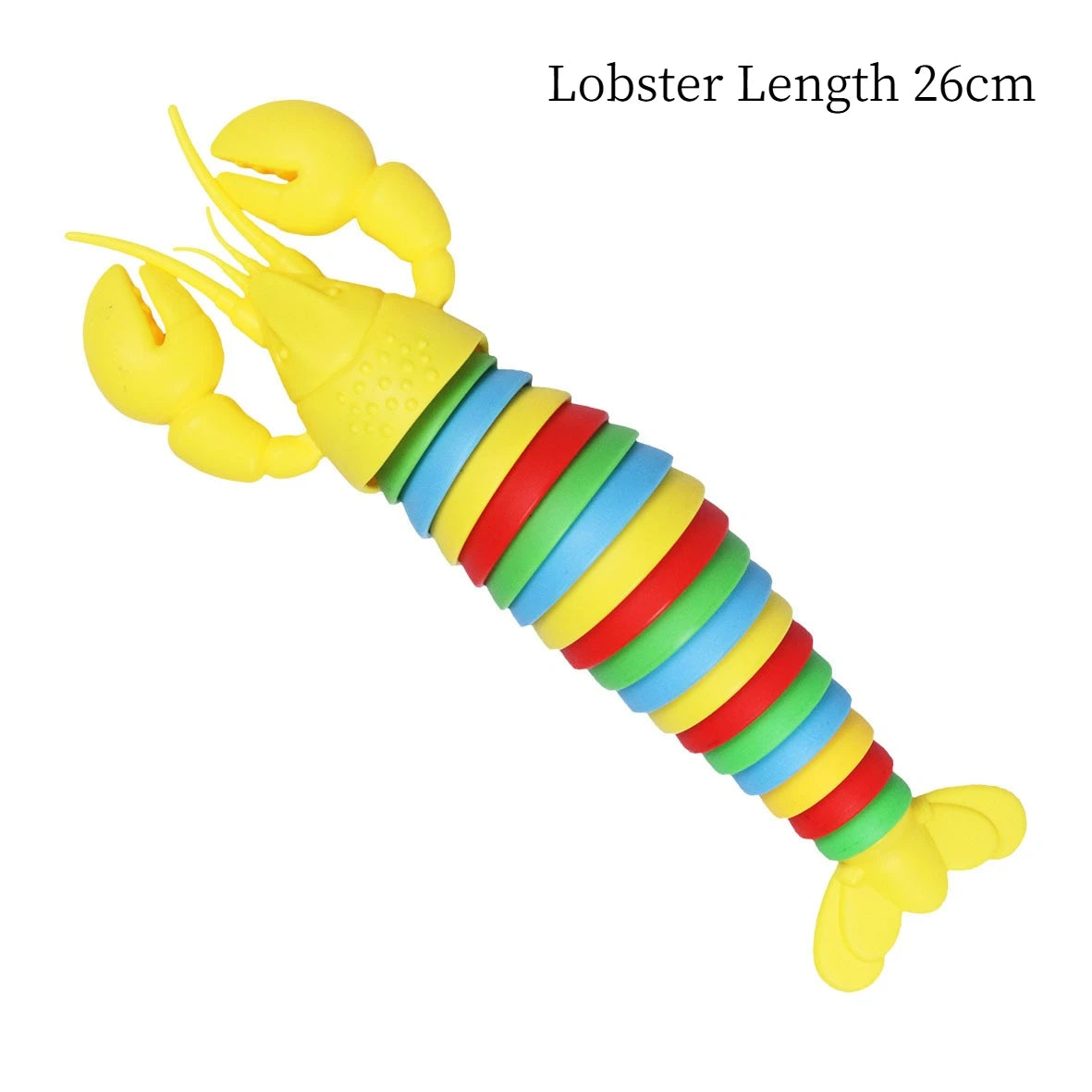 3D Slug Fidget Toy Colorful Slug Snail Creative Twist Anti Stress Toy All Ages Relief Anti-Anxiety Sensory Toys for Children